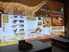 -中国西峡恐龙遗迹园