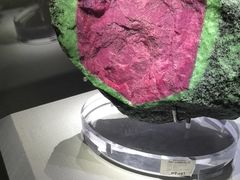 -湖南省地质博物馆