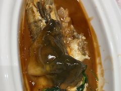 -新光酒家·河豚·海鲜·蟹料理(浦东店)