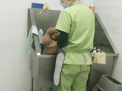 -芭比堂动物医院广州顽皮分院