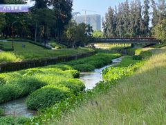 -深圳大学总医院