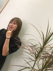 -YESIDO椰岛造型