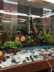 iphone_upload_pic-小左美发