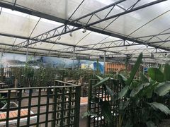 -桉树林A coffee 森林餐厅(三圣乡店)