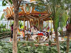 -南宫五洲植物乐园