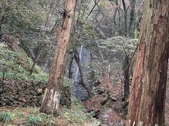 -宁波市保国寺古建筑博物馆