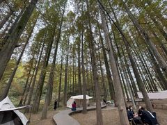 -南京市无想山景区