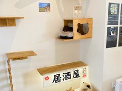 -猫小主咖啡·猫咖cat cafe(福田店)