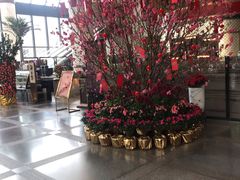 -深圳富临大酒店