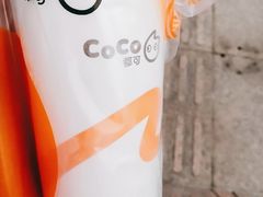 -CoCo都可(西安路民勇店)