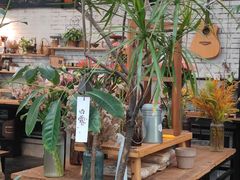 -北马山庄植趣咖啡