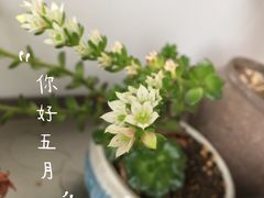 -星巴克(苏州石路百脑汇店)