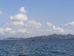 -深圳湾公园(南山区)
