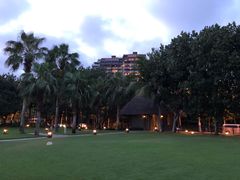 -三亚湾海居铂尔曼度假酒店