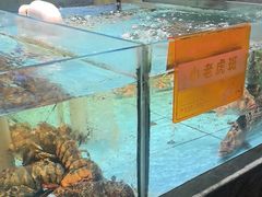 -国惠大酒楼(仓山万达店)