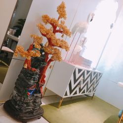 -INNEREAL英妮芮医疗美容