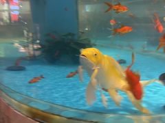 -辣得叫湘菜(四明店)