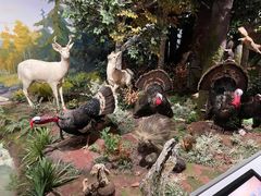 -陕西自然博物馆