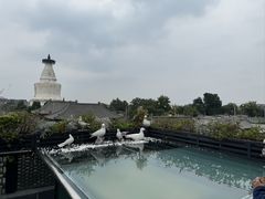 -玉林烤鸭店(垡头店)