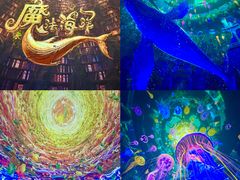 -海合安武汉极地海洋公园