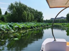 -济南方特东方神画