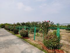 -呼吸森林·生态农庄农家乐私房菜