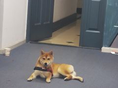 -爱乐蒙艺术·古筝 钢琴 声乐(科华校区)