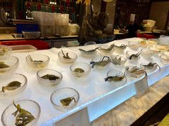 -半岛翡丽海鲜自助餐厅(观风亭店)