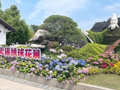 -无锡蠡湖国家湿地公园-蠡园