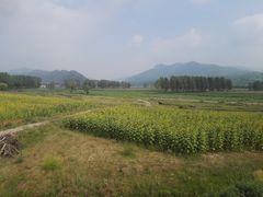 -塞罕坝国家级自然保护区