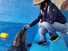 -华夏文旅西安度假区