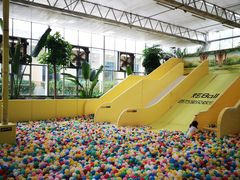 -南宫五洲植物乐园