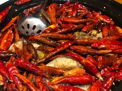 -丹江渔村(望京店)