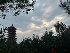 -缙云山景区