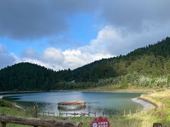 -武陵山森林公园