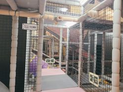 -meland club亲子乐园(重庆万象城店)