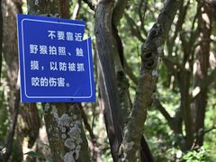 -千岛湖东南湖区