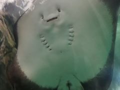 -苏州海洋馆
