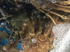-徐记海鲜(大雁塔|金都店)