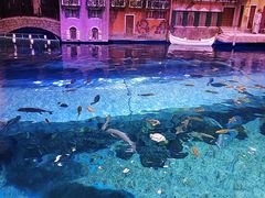 -华夏文旅海洋公园