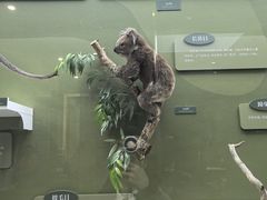 -国家自然博物馆