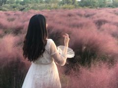 -映月湖中央公园