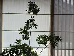 -元古雲境(太古里店)