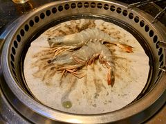 -熊出没日本烧肉放题
