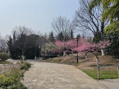 -月湖风景区