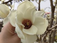 -济南国际园博园