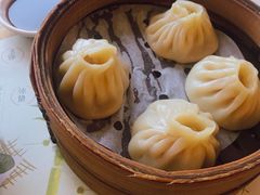 -东方既白(上海浦东国际机场)