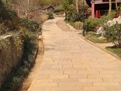 景点-竹子庵公园
