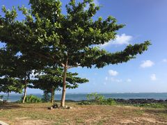 -蓝湾海滩