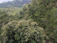 -武夷山风景名胜区-虎啸岩